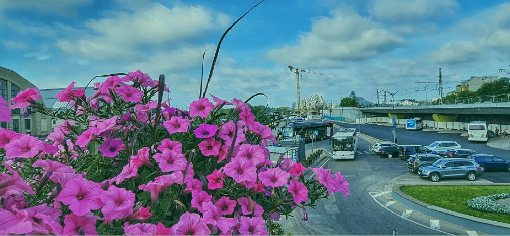 Aktualitātes un jaunumi Rīgas starptautiskajā autoostā