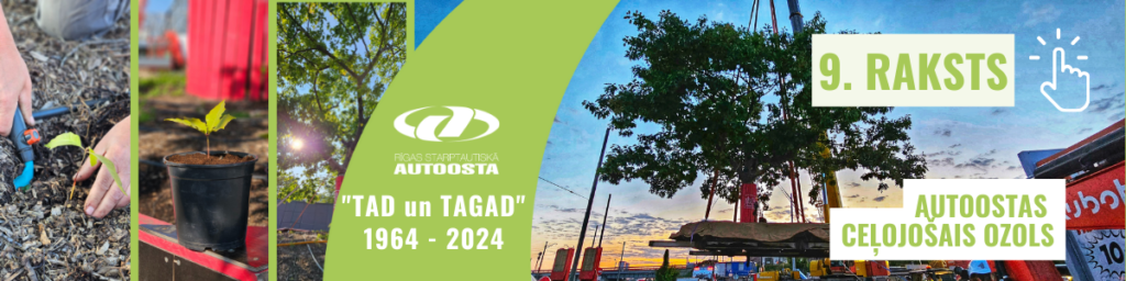9. RAKSTS AUTOOSTAS CEĻOJOŠAIS OZOLS