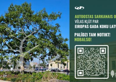 Attēla kreisajā pusē redzams liels, zarains ozols ar spēcīgu stumbru un bagātīgu lapotni. Tas aug pilsētas vidē – fonā redzamas autoostas ēkas gai`šas fasādes un nedaudz tālāk redzams cits pilsētas apbūves siluets. Debess ir gaiša, radot vasarīgu vai agras rudens dienas iespaidu. Attēla labajā pusē ir tumši zaļš vertikāls laukums, kur augšējā stūrī atrodas Rīgas starptautiskās autoostas logotips. Zem tā izvietots spilgti dzeltenos burtos rakstīts virsraksts “AUTOOSTAS SARKANAIS OZOLS vēlas kļūt par EIROPAS GADA KOKU LATVIJĀ!” Zem virsraksta atrodas aicinājums “Palīdzi tam notikt! Nobalso!”, kā arī liels kvadrātveida QR kods. Apakšējā stūrī atrodas mazāks logotips ar uzrakstu “Gada koks”. Kopumā baneris aicina nobalsot par konkrēto sarkano ozolu, kas atrodas pie Rīgas starptautiskās autoostas, lai tas tiktu atzīts par Eiropas gada koku Latvijā.